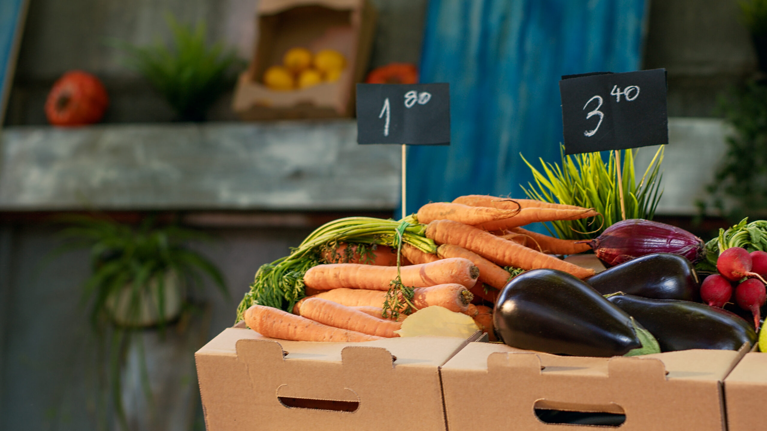 Reeducação Alimentar Barata: Coma Bem Gastando Pouco (Cardápio Completo!)